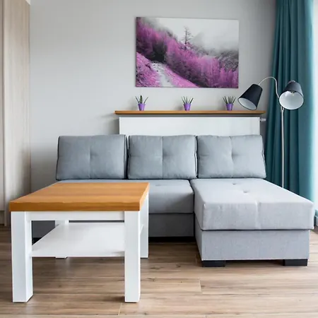 Apartview By Rent Like Aparthotel Wisla
